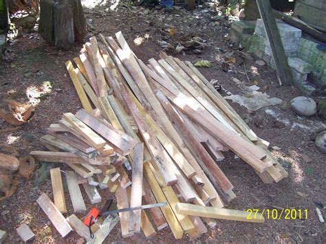 Suara burung puyuh hutan terbaru gratis dan mudah dinikmati. Produk Dari Kampung - RAE Agrofarm: Ternak Puyuh ...