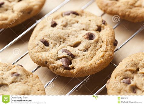 Fresh Chocolate Chip Cookies Stock Image Image Of Snack Tasty 25020379