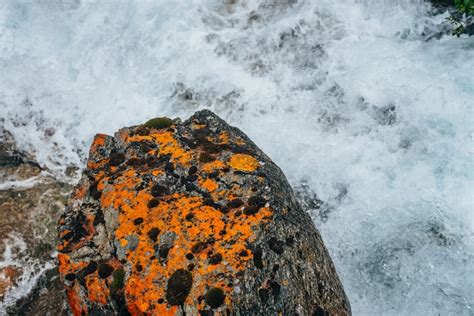 Premium Photo Big Orange Stone With Moss And Lichen In Water Riffle
