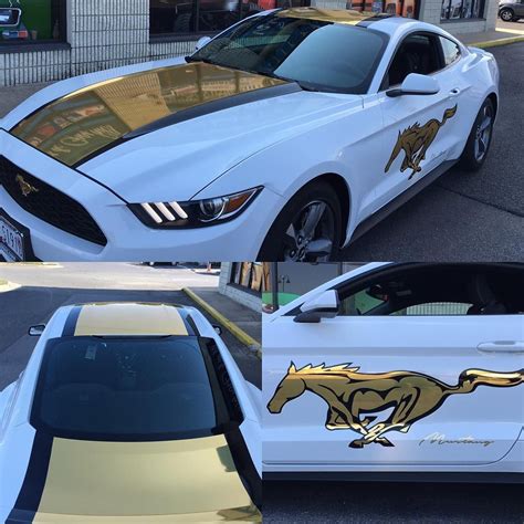 Cl cv 01 chameleon gloss purple to gold vehicle wrapping for ford mustang turkey sino vinyl. Custom stripes and #mustang decal done on this 2016 # ...
