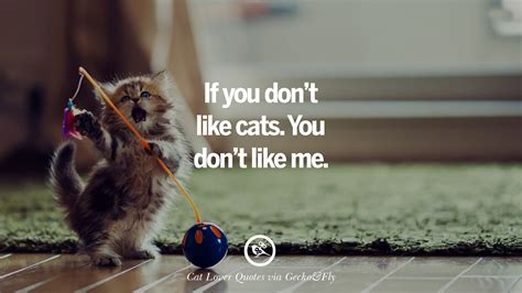 Maybe you would like to learn more about one of these? 25 Cute Cat Images With Quotes For Crazy Cat Ladies, Gentlemen And Lovers