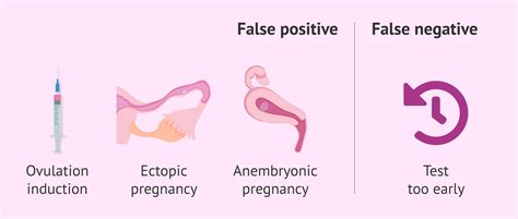 What Causes A False Positive Or False Negative Pregnancy Test