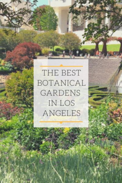 All The Best Botanical Gardens In And Around Los Angeles