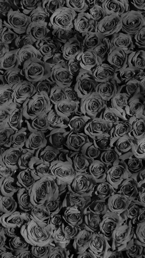 Rose Dark Bw Pattern Background Iphone 8 Wallpapers Free Download