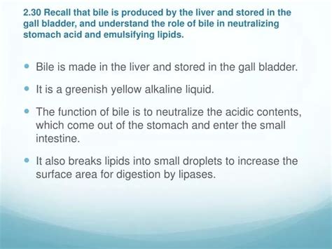 PPT Bile Is Made In The Liver And Stored In The Gall Bladder PowerPoint Presentation ID