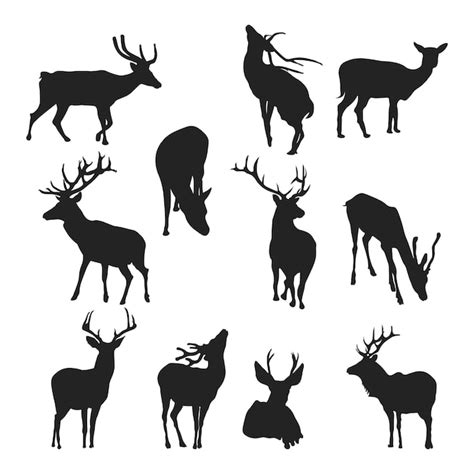 Premium Vector Set Of Deers Animal Silhouettes Various Styles