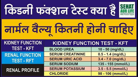 Structure Of Kidney In Hindi