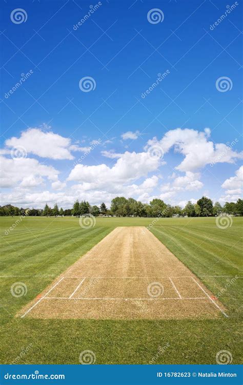 Cricket Field Background Stock Photos Image 16782623