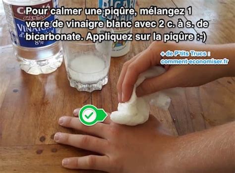 Les piqûres sont souvent vus dans les grands groupes ou en groupes. Le Remède Magique Pour Soigner N'IMPORTE QUELLE Piqûre d ...