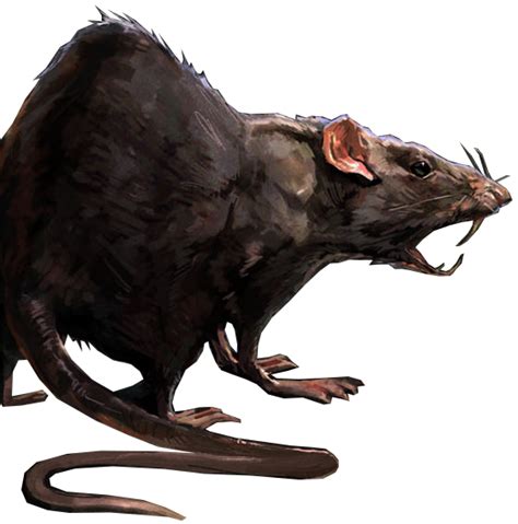 Image Rat Conceptpng Dishonored Wiki Fandom Powered By Wikia