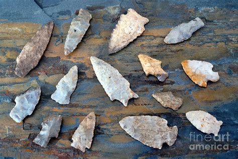 American Indian Arrowheads Photograph By W Scott Mcgill Fine Art America