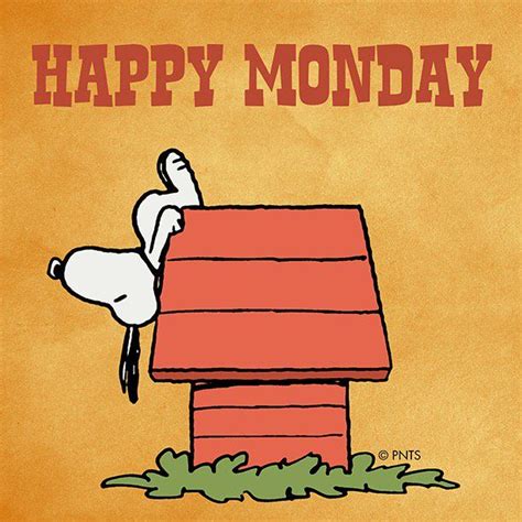Peanuts On Twitter Its Monday M8tphvxyhh Snoopy