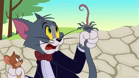 A new tom & jerry video every tuesday on boomerang uk youtube channel! The Tom and Jerry Show Protect Jerry At All Costs ...