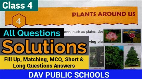 Dav Class 4 Science Chapter 4 Plants Around Us Solutions All