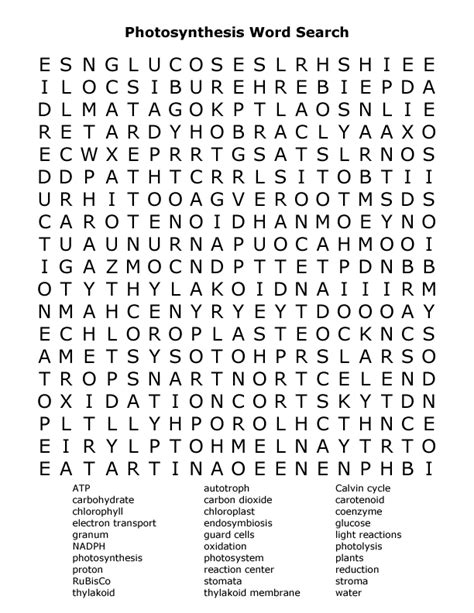 Photosynthesis Word Search