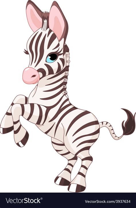 Cute Baby Zebra Royalty Free Vector Image Vectorstock