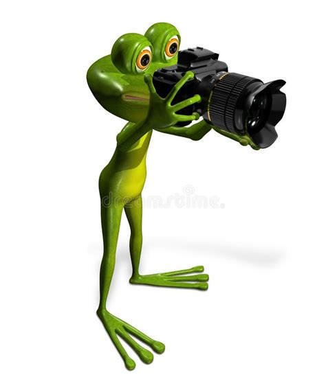 Frog With A Camera Stock Illustration Image 39687948