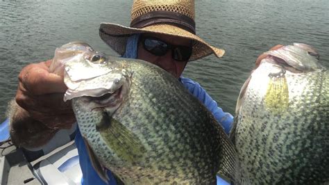 Catching Slab Crappies Despite Heavy Boat Traffic Youtube