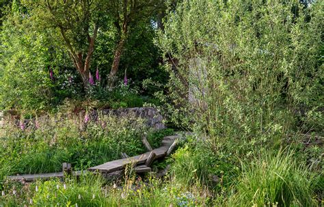 A Rewilding Britain Landscape Urquhart And Hunt — Landscape Design