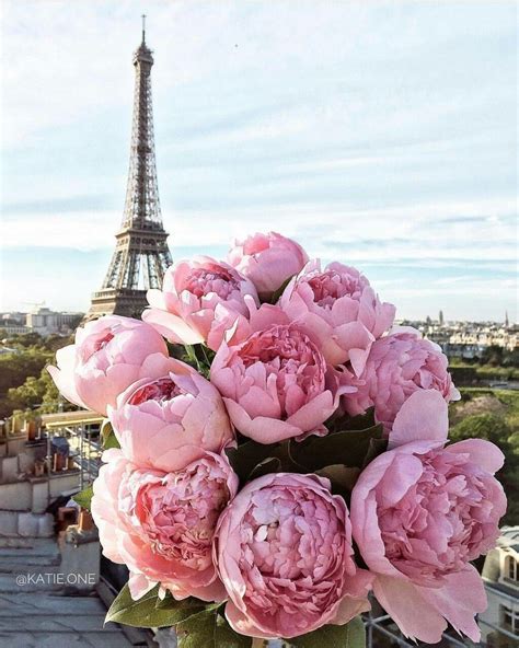 Good Morning From Paris Цветочные фоны Розовые пионы Цветы