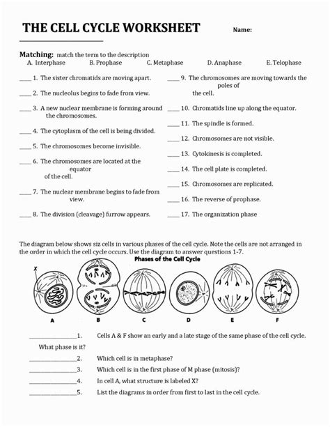 .cell cycle and cancer, chapter 6 cell growth and reproduction lesson 1 the cell, correctionkeya do not edit changes must be made through, cell cycle, cell growth and reproduction, cell reproduction cell cycle virtual lab answers. Image for The Cell Cycle Coloring Worksheet Key | Mighty Middle School | Pinterest | Coloring ...