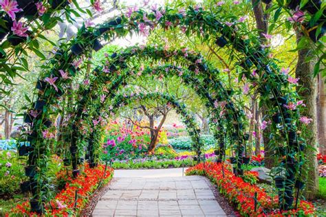 Download Beautiful Flower Arches With Walkway In Ornamental Plants