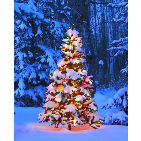 Christmas In The Forest Printed Backdrop Backdrop Express