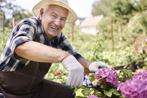 The Benefits of Gardening - SouthPark Capital: Tax Mitigation & Wealth