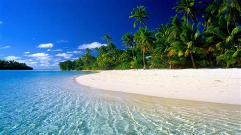 A beach is a narrow, gently sloping strip of land that lies along the edge of an ocean, lake, or river. maldives-beaches - True Blue Travel