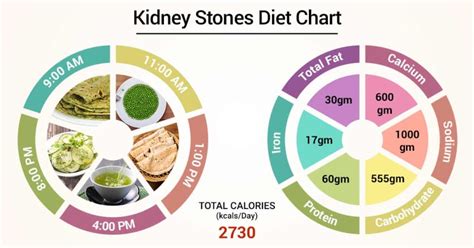 The very diets we use to dissolve struvite have put cats at. Gall Bladder Stone Diet Chart In Hindi - Chart Walls