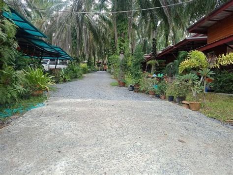 Palmthien Pool Villa Aonang Krabi 2 Houses For Sale And Rent