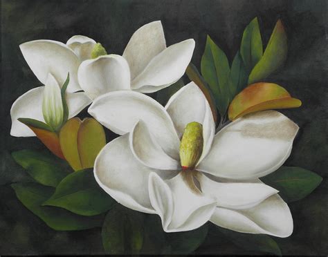 Magnolias Flower Art Flower Painting Flower Illustration