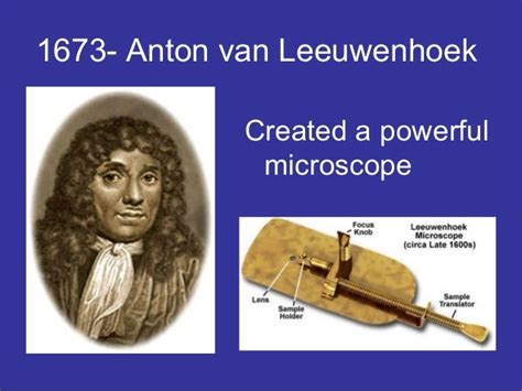 What Did Anton Van Leeuwenhoek Discover And When Forex Trading Guide