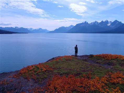 Tsilʔos Provincial Park Bc Parks Provincial Lake British Columbia