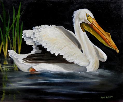 White Pelican Glide Painting By Phyllis Beiser