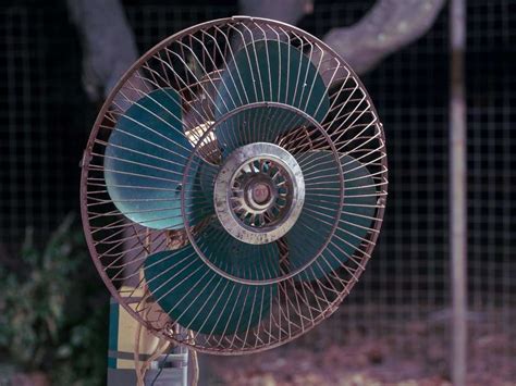 Best pedestal fans for home in India | Business Insider India