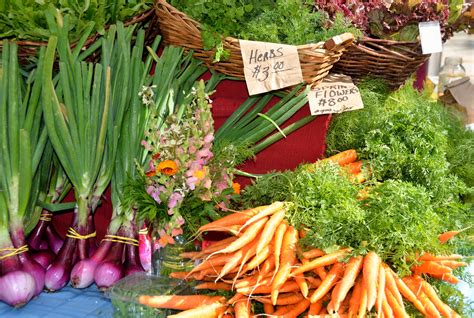 Check spelling or type a new query. Free Images : plant, orange, shop, meal, food, green ...