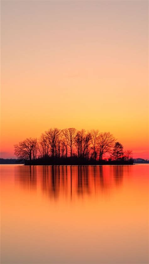 Silhouette Of Trees Near Body Of Water During Suns Iphone Wallpapers