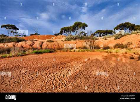 Arid And Desert Soil