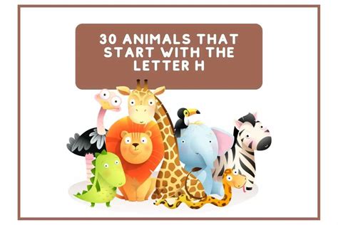 Animals That Start With H