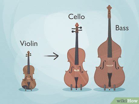 Cello Vs Bass Differences Similarities Interesting Facts