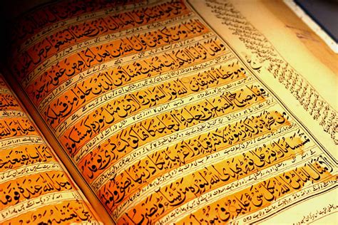 These Quranic Ayahs Will Give You A Sense Of Purpose