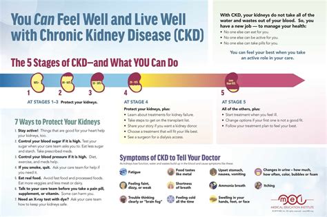 Doctors have staged the progression of chronic kidney disease (ckd) from stage 1 to stage 5 in the increasing order of its severity. You Can Feel Well and Live Well with Chronic Kidney ...