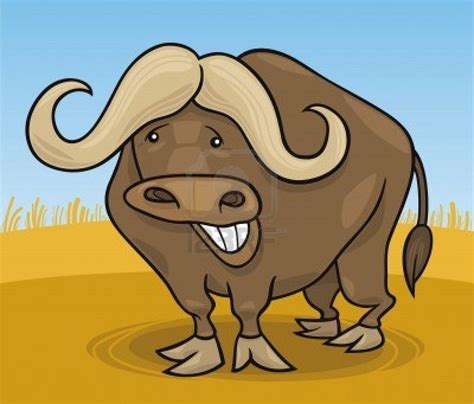 Cartoon Illustration Of Funny African Buffalo African Buffalo