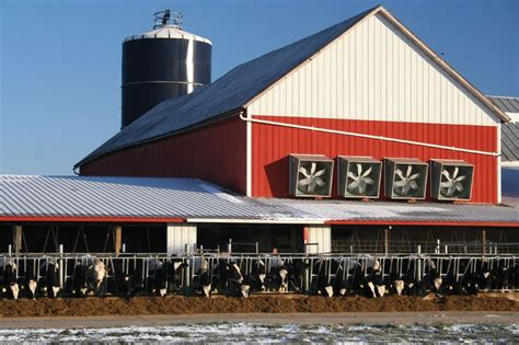 Farm Building Livestock Stall Barn Loose Housing Milking Parlour