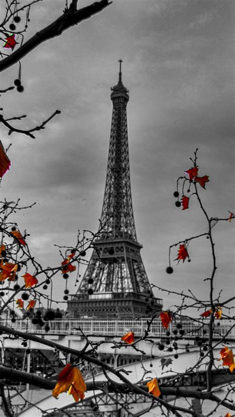 Eiffel tower (tour eiffel) is ranked #3 out of 25 things to do in paris. Eiffel tower Autumn Paris, France