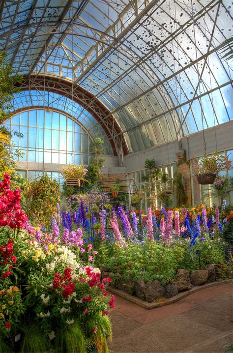 Sep 29, 2021 · technically an annual, in parts of new zealand it might attempt to push through winter and into the following spring! Dave's Garden: Winter Gardens at the Auckland Domain