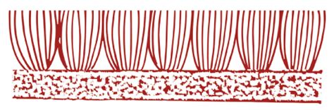 Supplierentex carpet industries sdn bhd. Commercial Carpet | Entex Carpet Industries Sdn Bhd