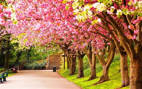 High Res Spring Desktop Wallpapers - Wallpaper Cave