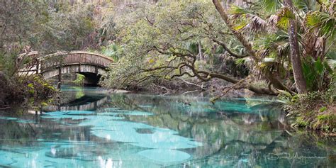 David Moynahan Photography Landscape Florida Fern Hammock Bridge